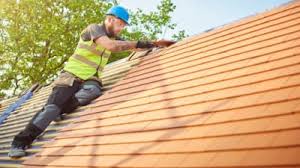 Best Skylight Installation and Repair  in Otsego, MN